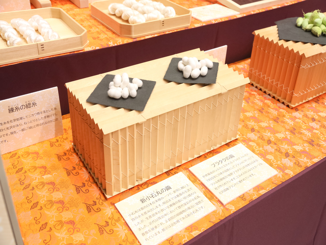 東京国際フォーラム2024