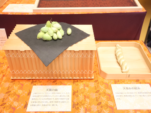 東京国際フォーラム2024